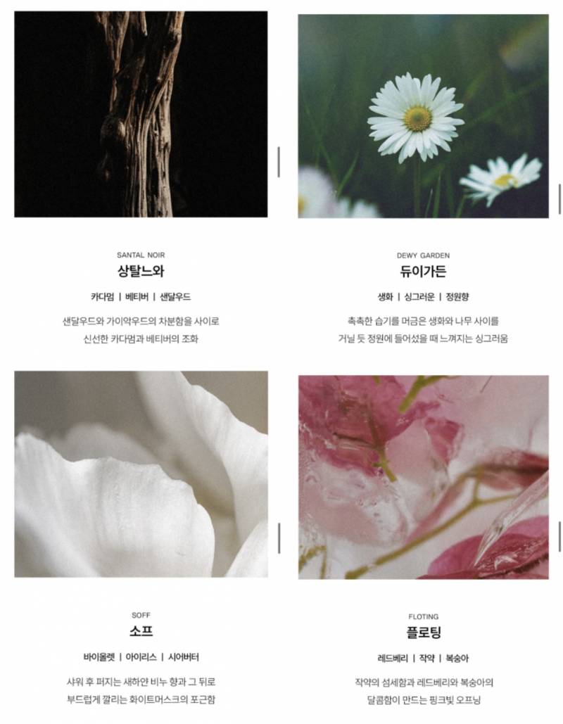 [잡담] 핸드크림 선물할건데 향 좀 골라주라 ㅜ | 인스티즈