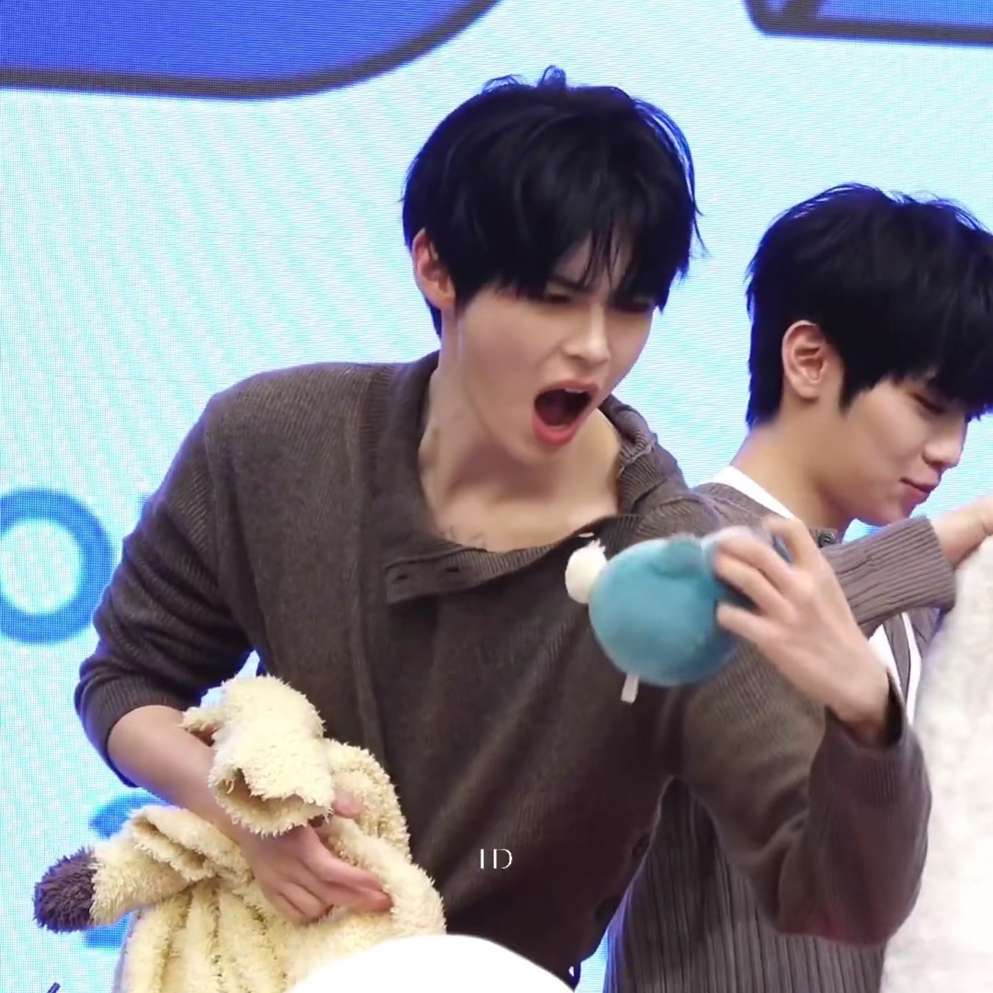 [잡담] 아 성한빈 인형 귀여워 하는거 봐ㅋㅋㅋㅋㅋ | 인스티즈