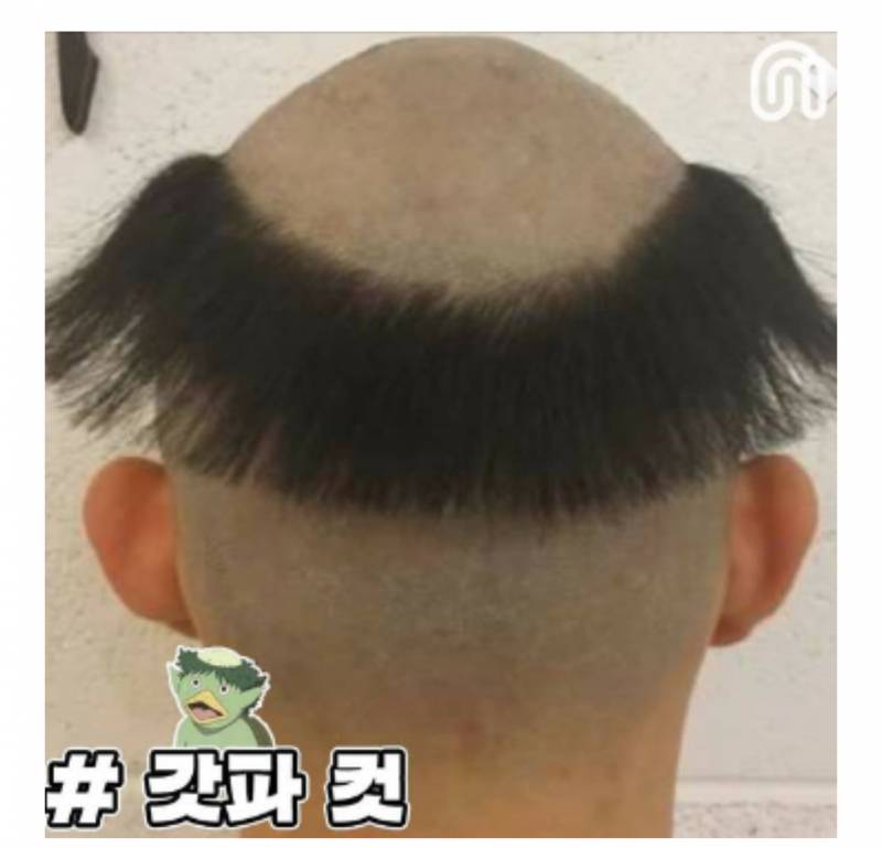 [잡담] 한동훈 솔직히 귀염상이지? 잘생겼어 | 인스티즈