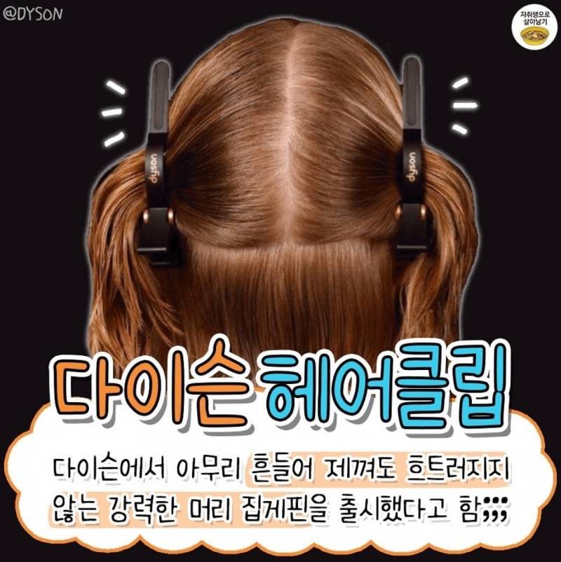 현재 가격 귀엽다는 다이슨 머리집게..JPG | 인스티즈