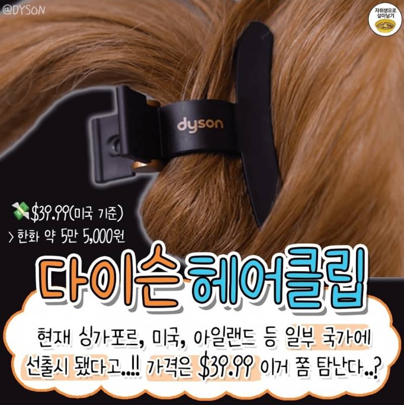 현재 가격 귀엽다는 다이슨 머리집게..JPG | 인스티즈