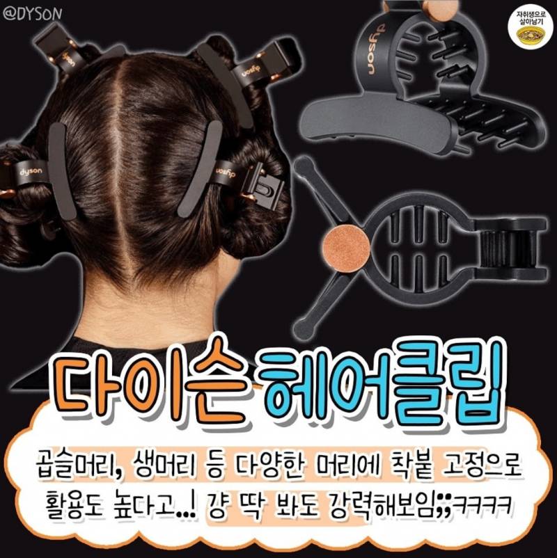 현재 가격 귀엽다는 다이슨 머리집게..JPG | 인스티즈