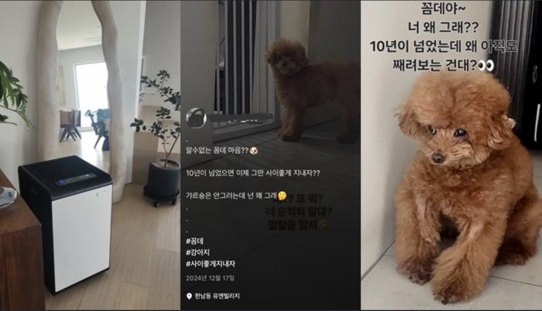 [정보/소식] '간호사 모친' 샤이니 키, '주사이모' 연루설에 팬들 "해명 좀 해줘요" | 인스티즈