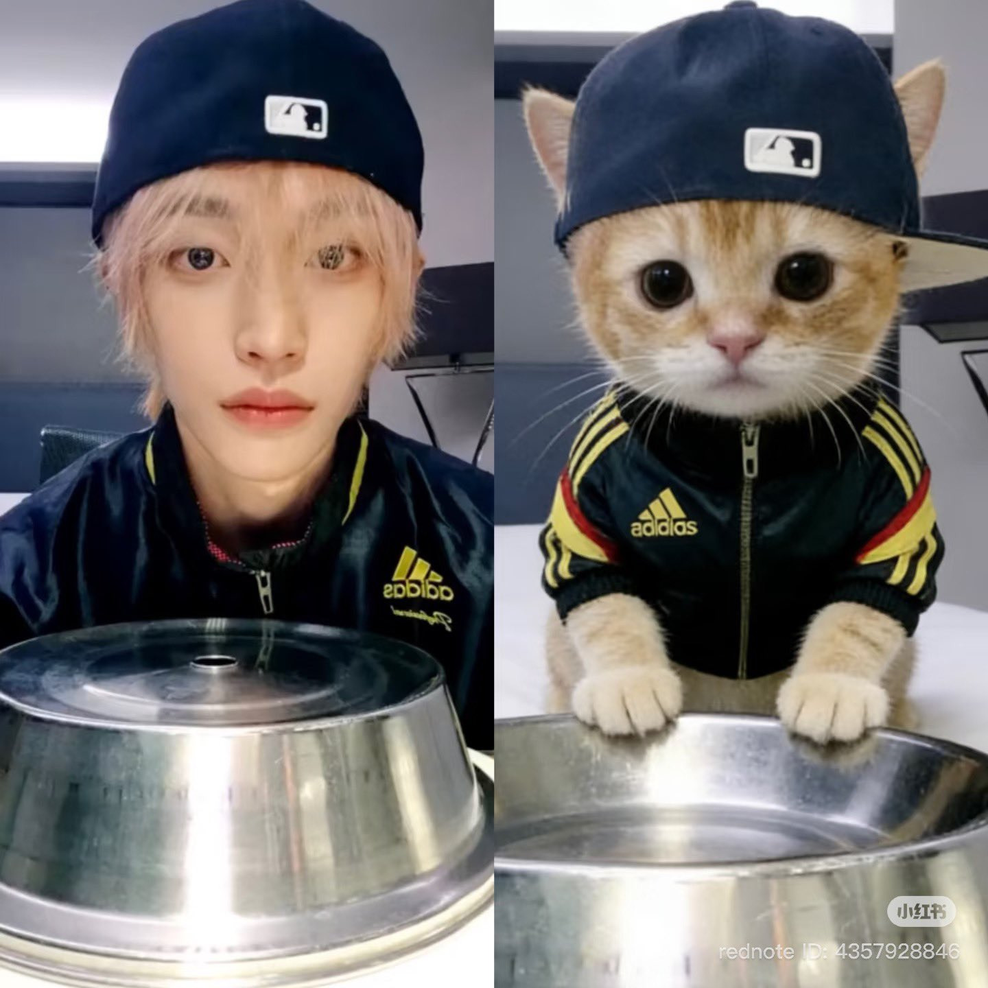 [잡담] 원빈이 | 인스티즈