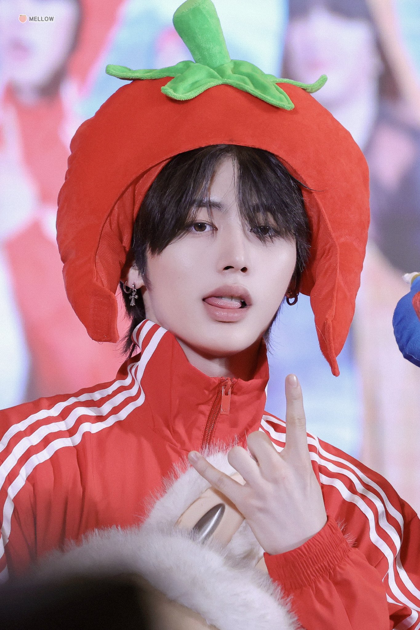 [잡담] 우리집고양이 입술 뚱쭝해요 | 인스티즈