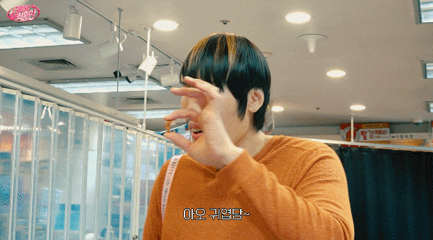 잡히는 모든걸 미니어쳐로 만들어버리는 최홍만 ㅎㄷㄷ | 인스티즈