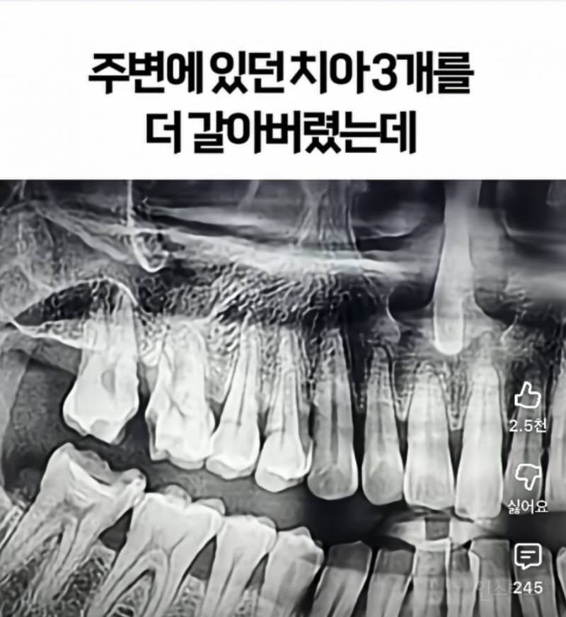 기괴한 리뷰로 가득한 서울의 어느 치과 | 인스티즈