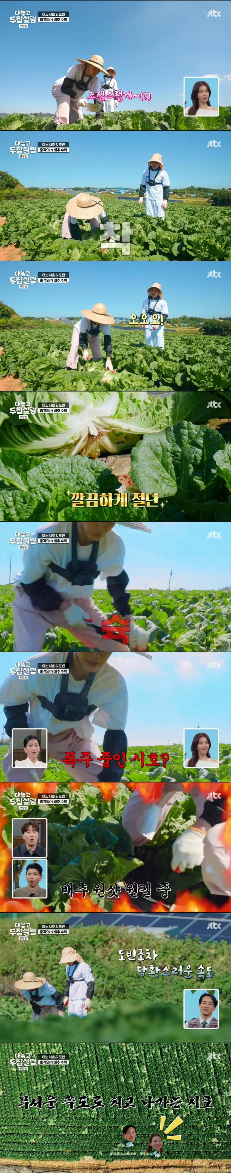 한국에서 김장 처음 해본 야노시호 | 인스티즈