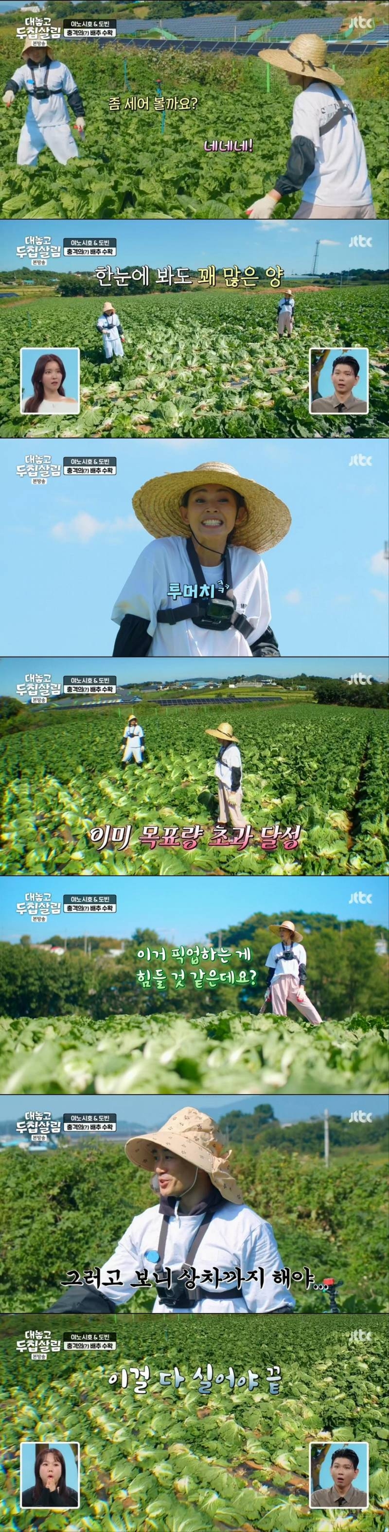한국에서 김장 처음 해본 야노시호 | 인스티즈