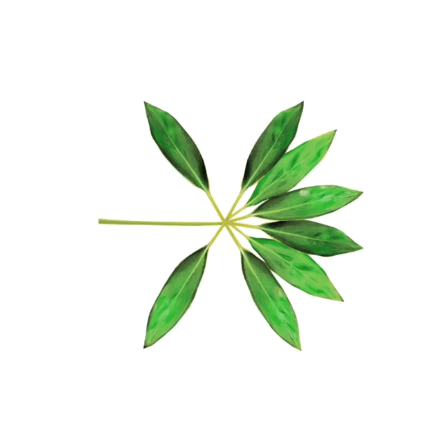 엑소통 제대로 오게 만드는 역대 엑소 로고 모음.gif | 인스티즈