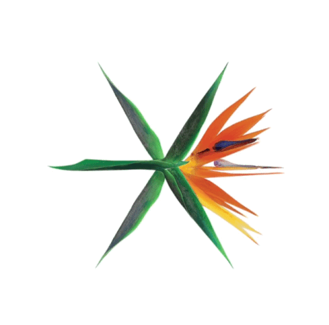 엑소통 제대로 오게 만드는 역대 엑소 로고 모음.gif | 인스티즈