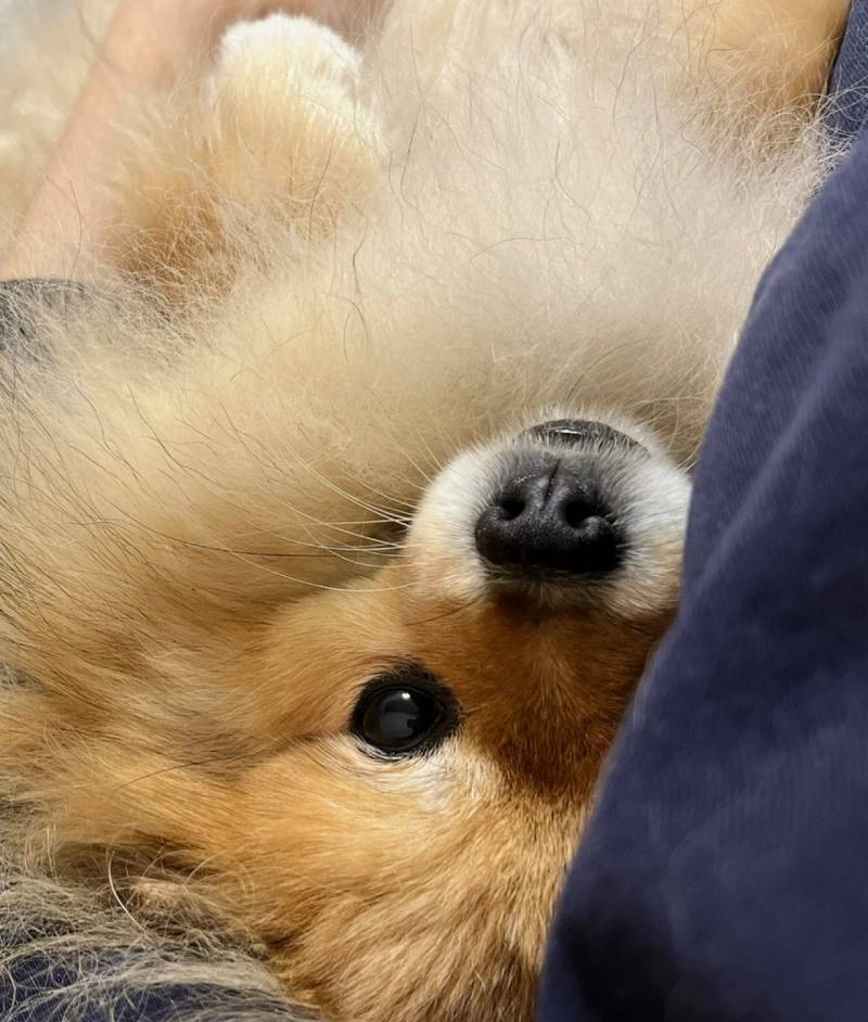 [잡담] 어제 회식해서 늦잠 자는데 내 옆구리에 무ㅓ가 있다..... | 인스티즈