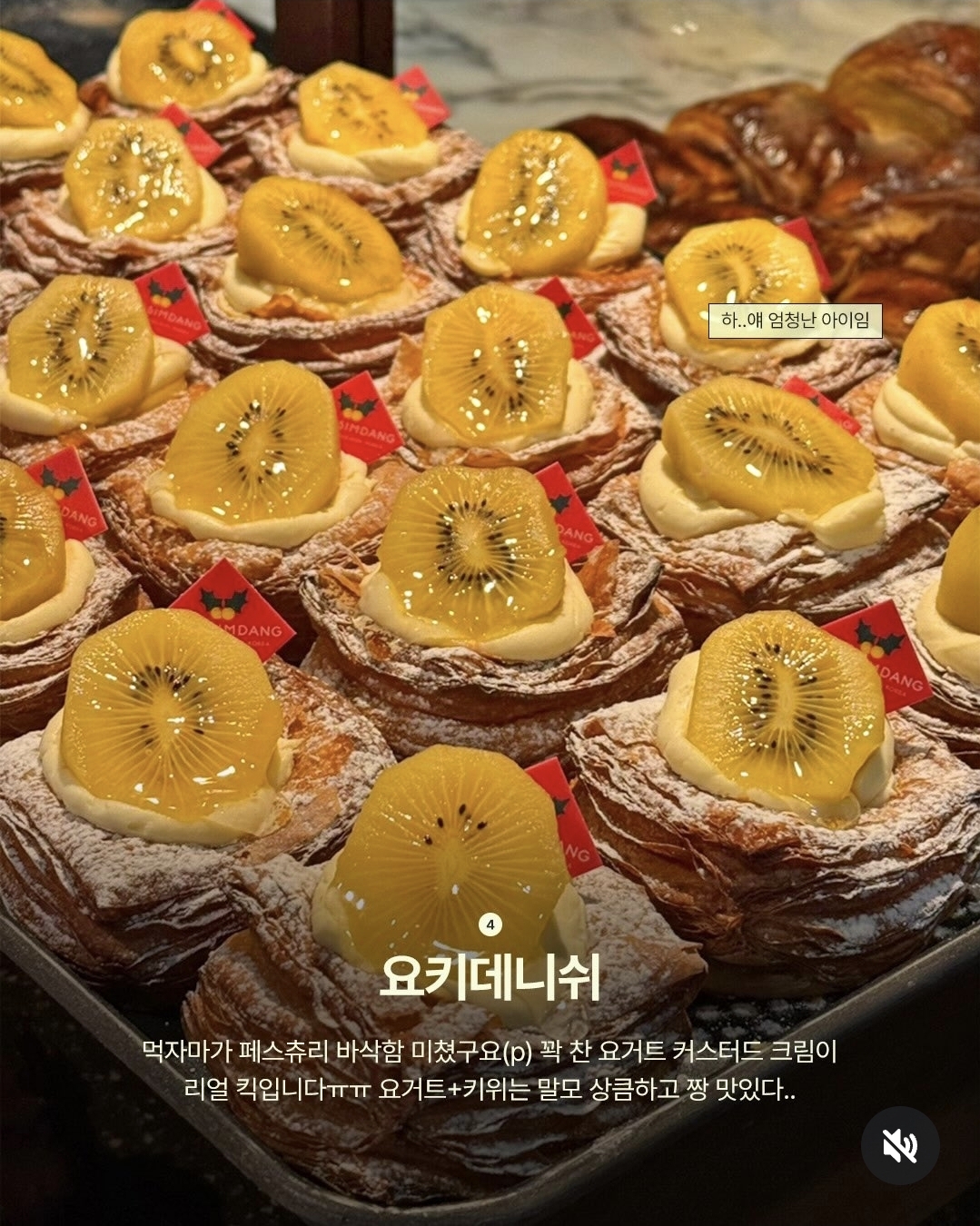 [잡담] 성심당 요키데니쉬 비주얼 봐 | 인스티즈