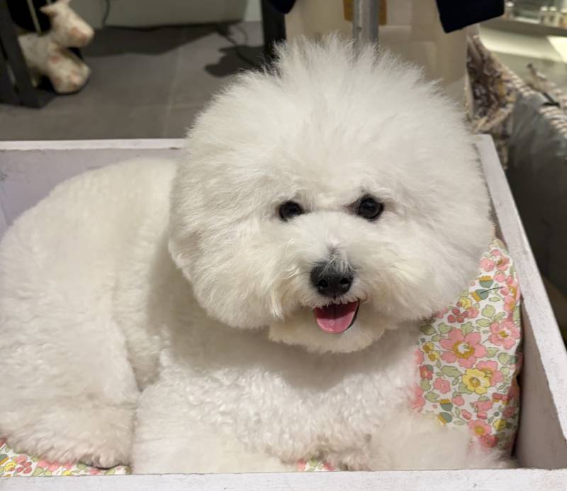 [잡담] 이 사진을 보고 생각나는 단어나 문장이 뭐야? | 인스티즈