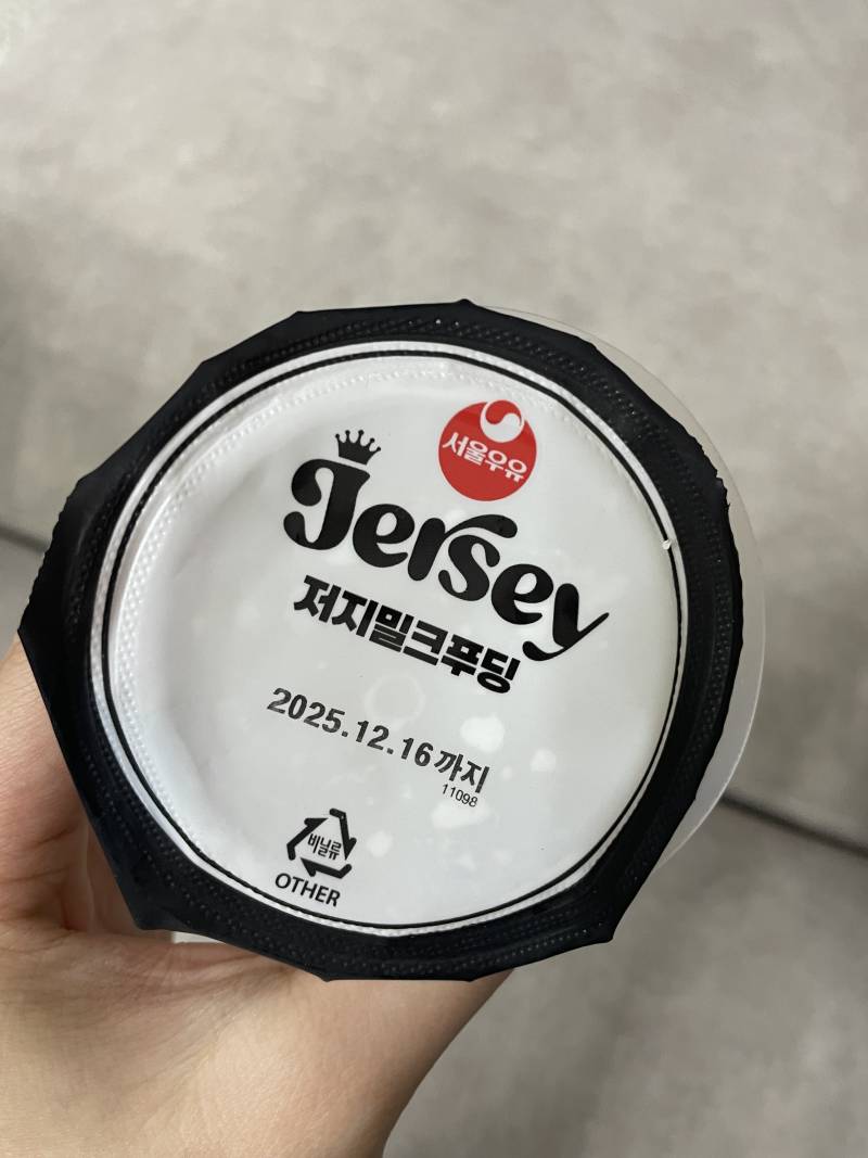 [잡담] 와 이거 그 일본 유명한 jaji 푸딩이랑 개비슷함 | 인스티즈