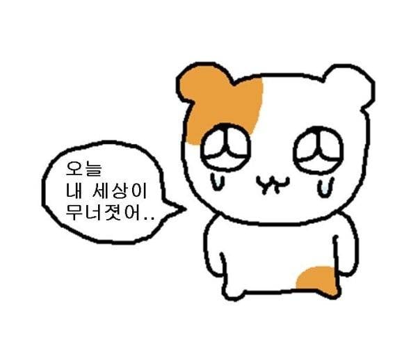 [잡담] 노브랜드 트리플초코칩쿠키 << 이거 설마 단종임..? | 인스티즈