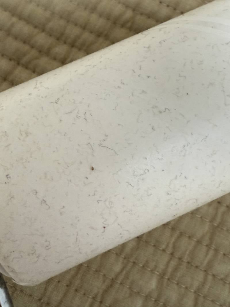 [잡담] 자취하는 익들 제발 혹시 이거 뭐야..? | 인스티즈