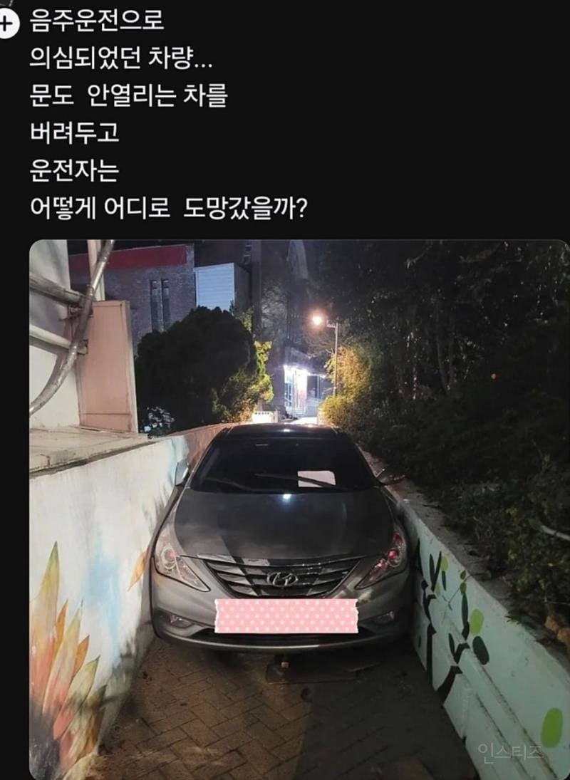 (조금 무서운) 대한민국의 어느 자동차.jpg | 인스티즈