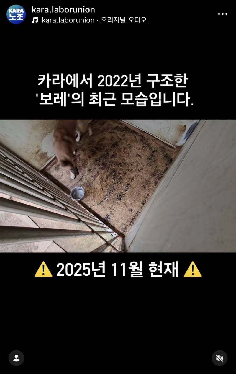 [잡담] 여기 동물권단체카라 후원회원 있니 | 인스티즈