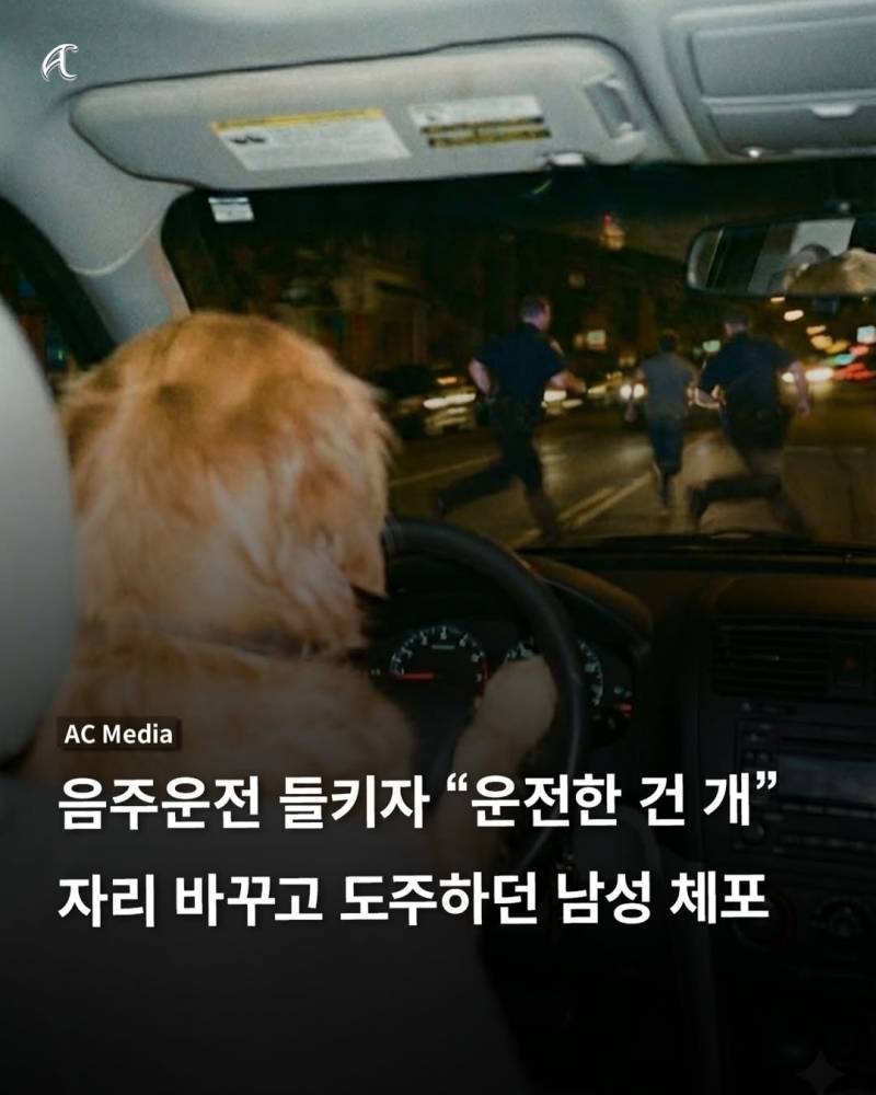 [잡담] 이게 사람일까? | 인스티즈