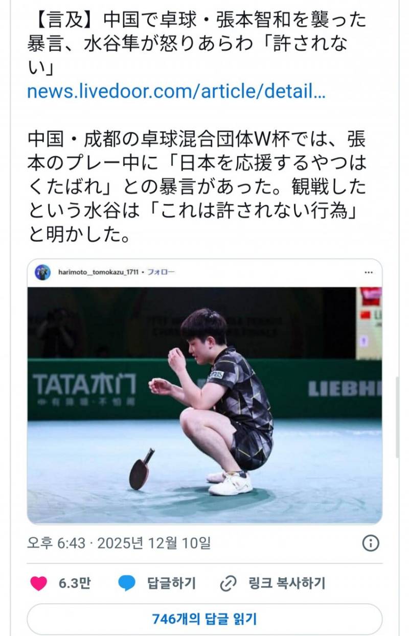 [잡담] 이번에 중국에서 열린 탁구 경기에서 일본 중국 싸우던데 | 인스티즈