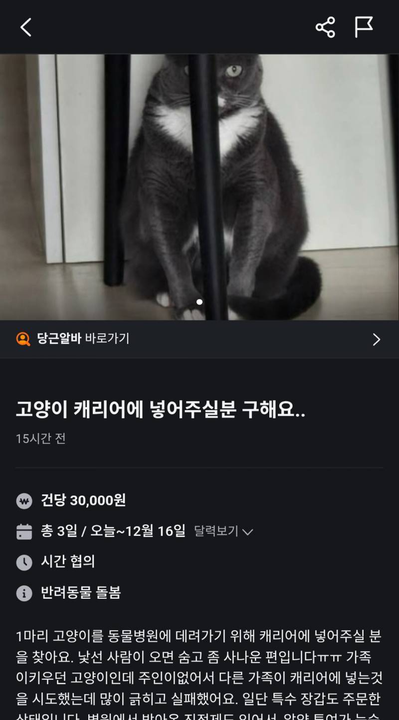 [잡담] 고양이 ㄹㅇ 개빡쳤네 | 인스티즈