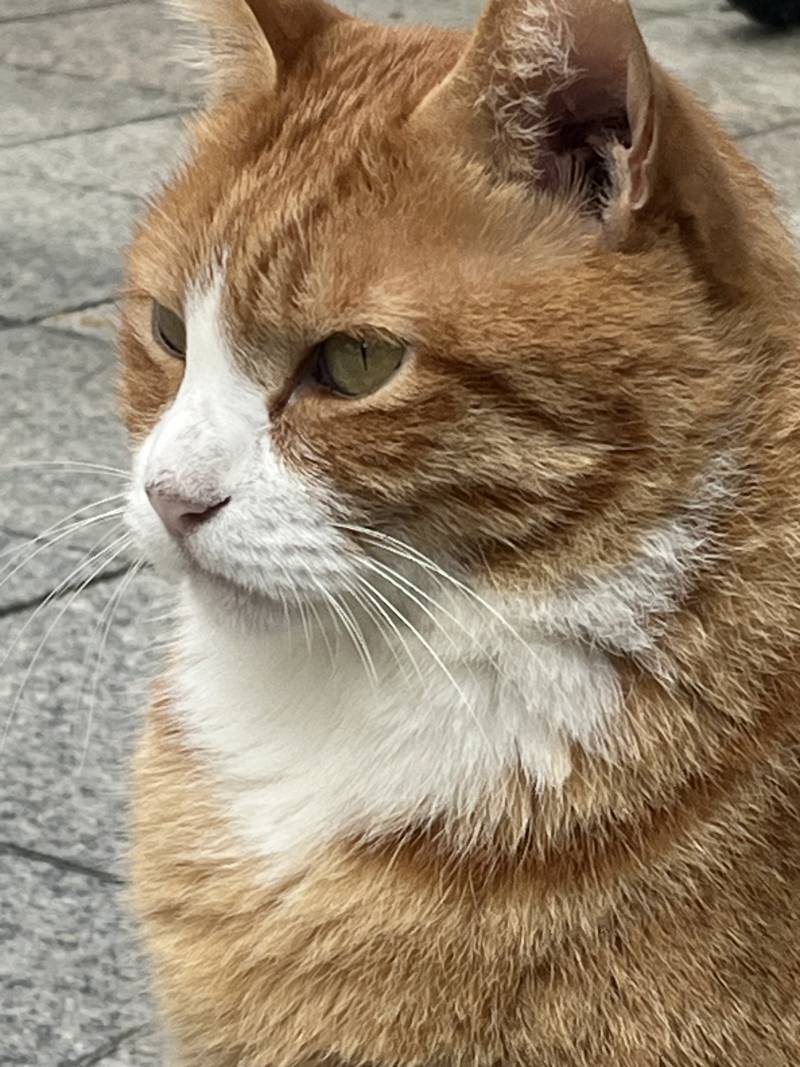 [잡담] 데면데면한 관계는 쉬운데 | 인스티즈