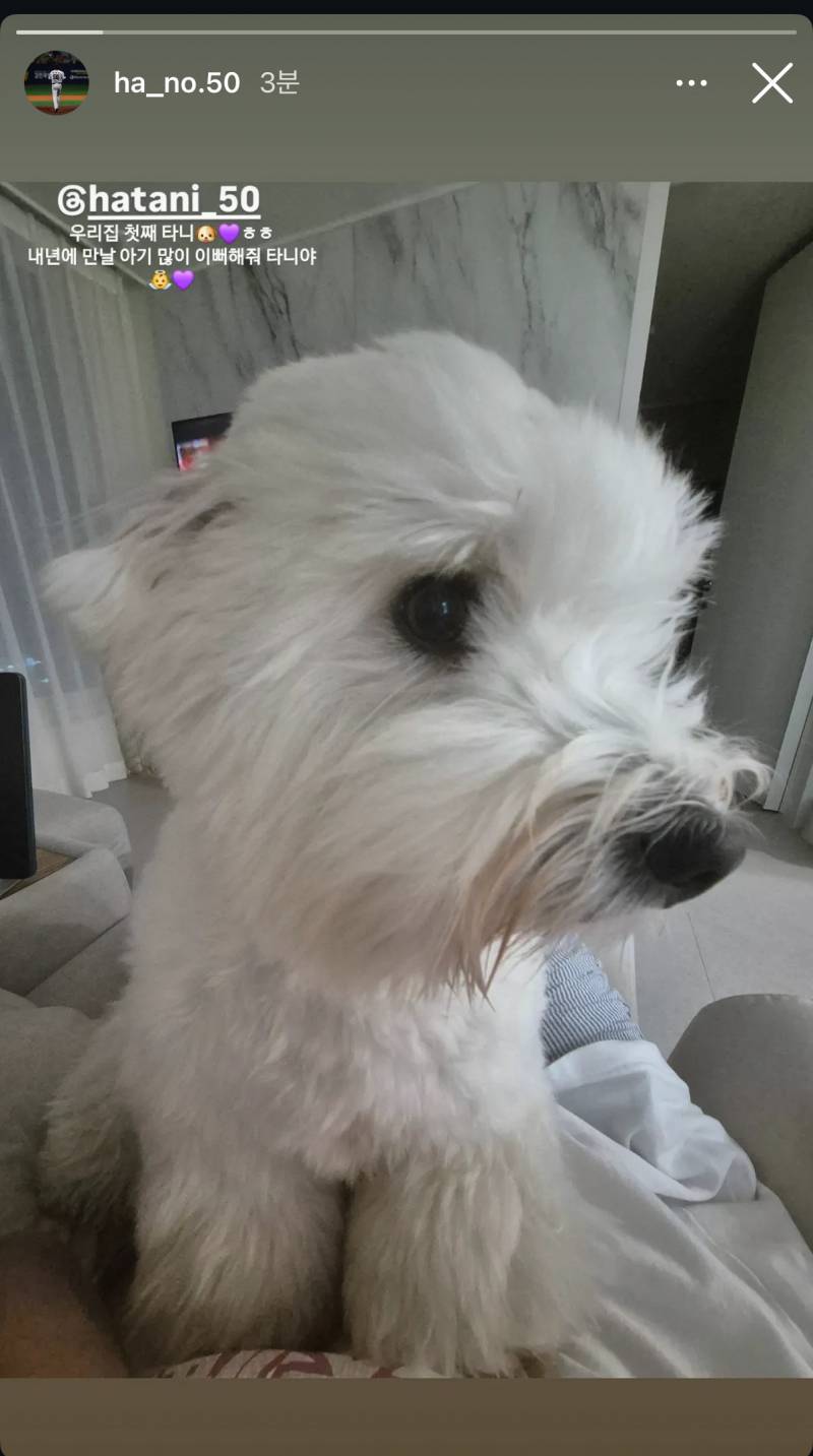 [잡담] 최상영민 아빠되나봐 | 인스티즈