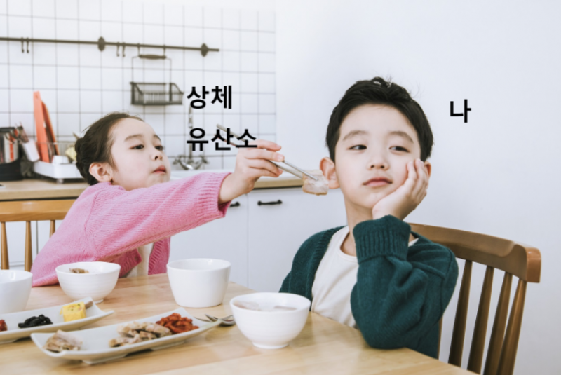 [잡담] 나 운동편식 개심함 | 인스티즈