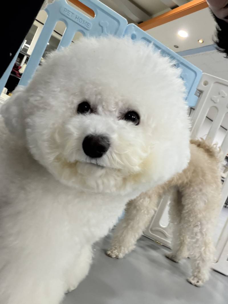 [잡담] 이 사진을 보고 생각나는 단어나 문장이 뭐냐? | 인스티즈