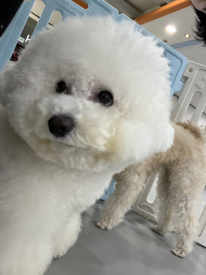 [잡담] 이 사진을 보고 생각나는 단어나 문장이 뭐냐? | 인스티즈