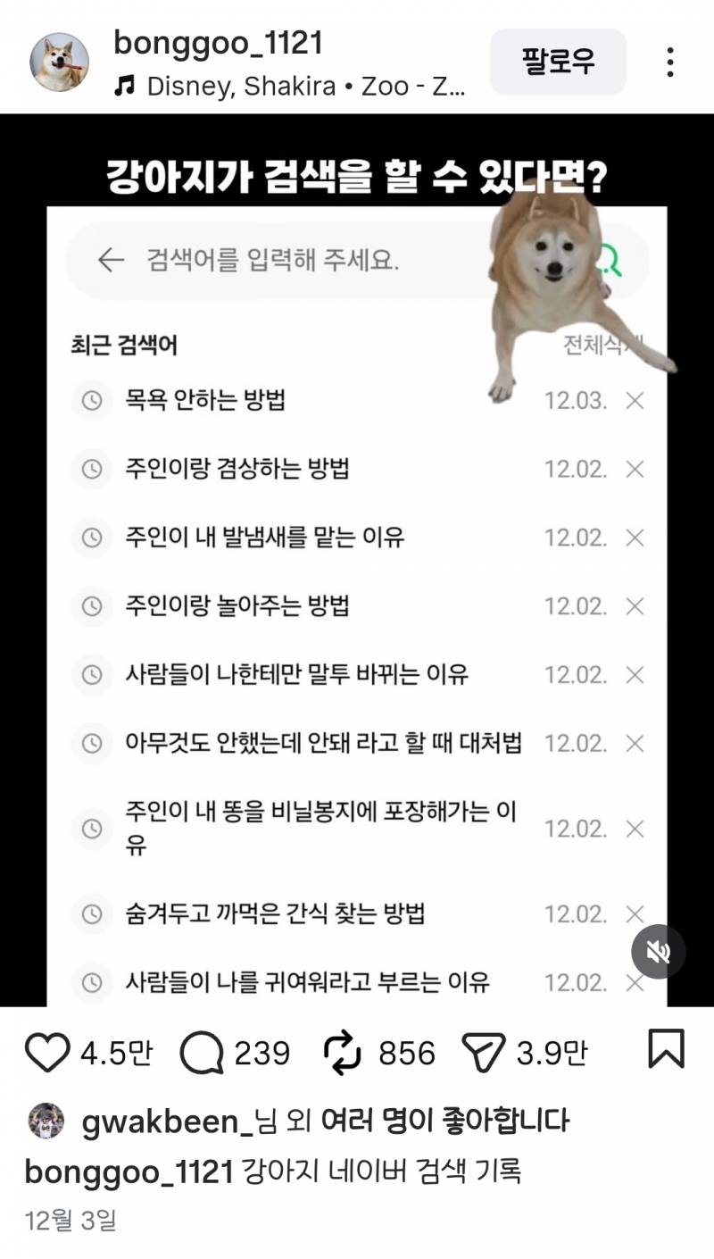 [잡담] 곽빈 이런거 조아하네 | 인스티즈