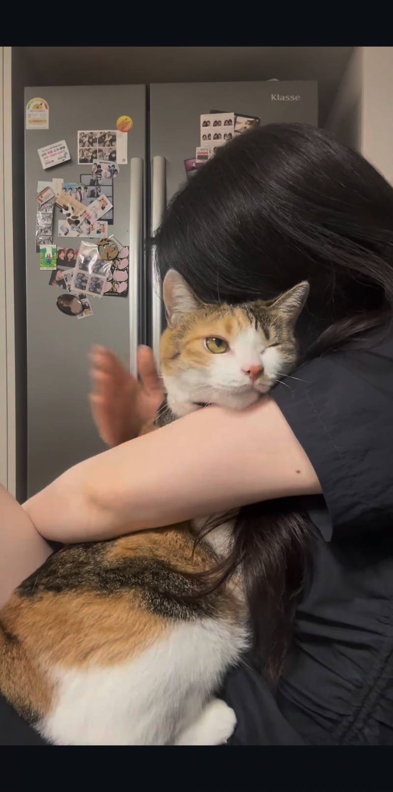 [잡담] 다음생엔 고양이가되고싶어... | 인스티즈