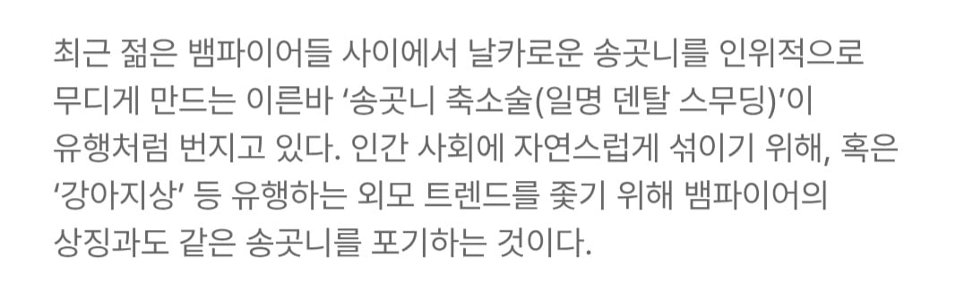 [잡담] 강아지상은 어느 사회에서나 인기있나봐 | 인스티즈