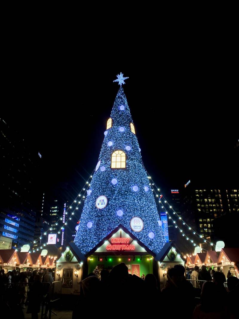[잡담] 광화문 크리스마스 사진들 🎄🌲🎅 | 인스티즈