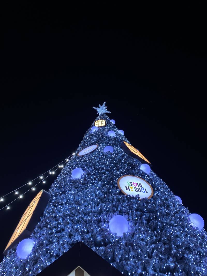 [잡담] 광화문 크리스마스 사진들 🎄🌲🎅 | 인스티즈