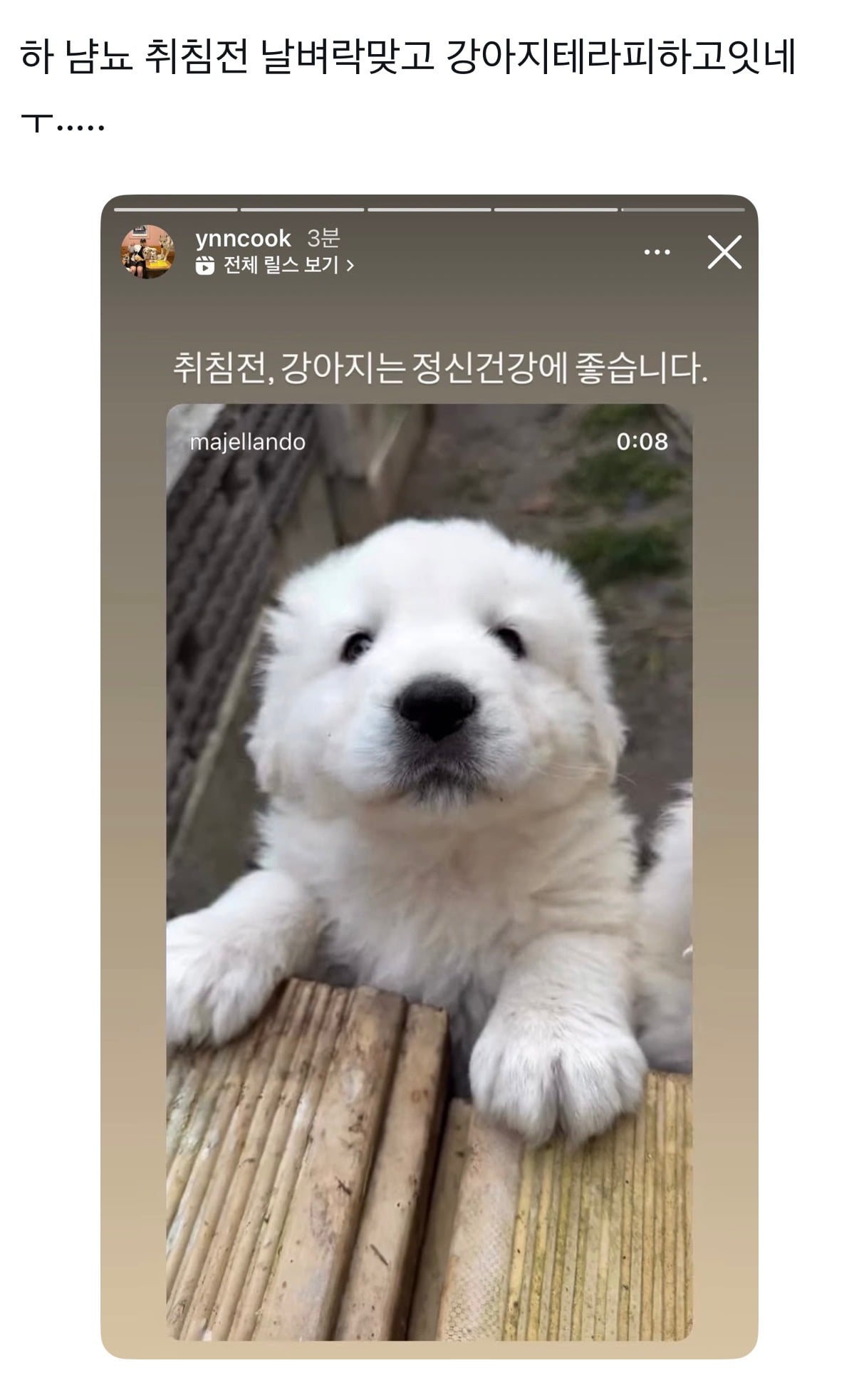 [잡담] 오늘 윤남노 서사래ㅋㅋㅋㅋㅋㅋㅋㅋㅋㅋㅋㅋㅋ | 인스티즈