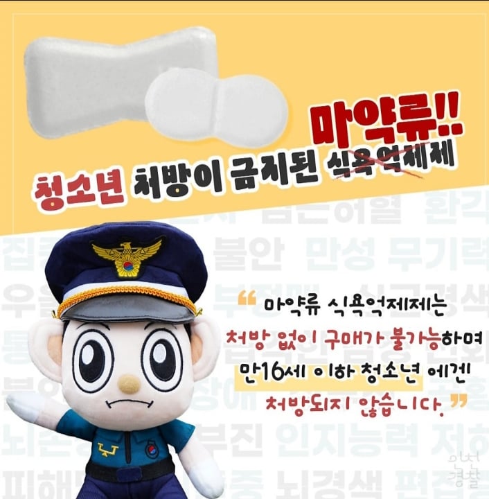 [정리글] 나비약 어느정도로 심각한건지 짧게 설명해드림 | 인스티즈