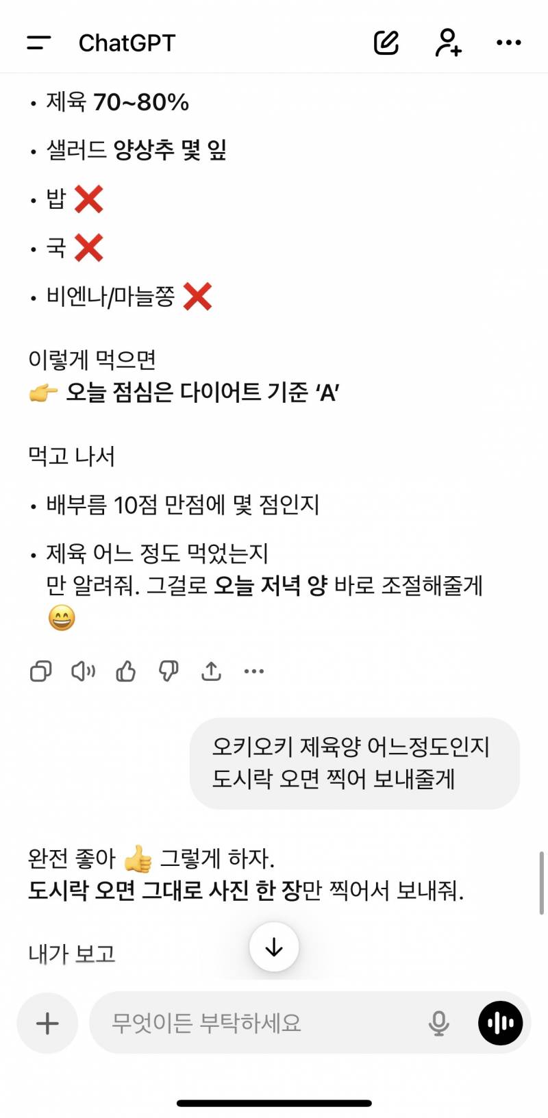 챗지피티한테 다이어트 받고있어 | 인스티즈