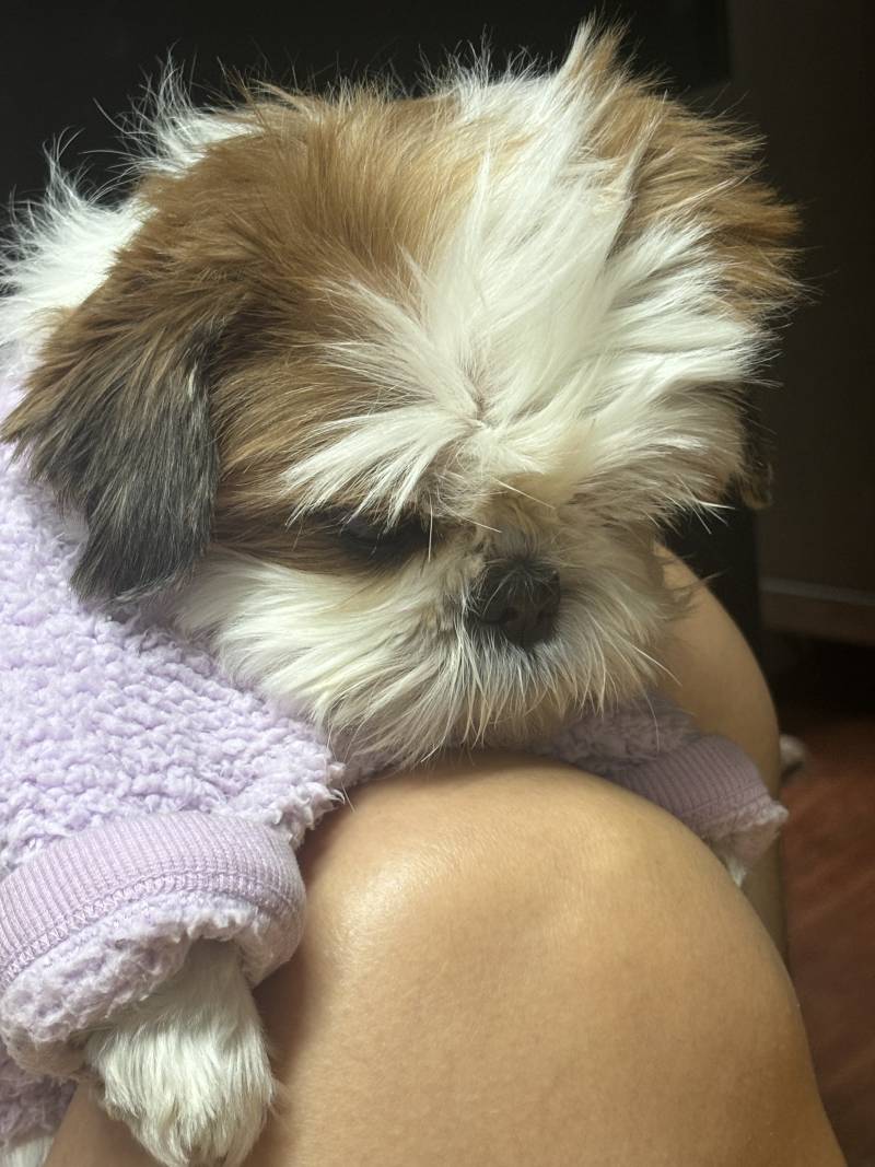 [잡담] 한입 베어먹음 | 인스티즈