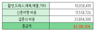 [잡담] 엑셀로 신혼집 제외하고 결혼,신혼여행에만 들어가는 비용 정리했는데 | 인스티즈