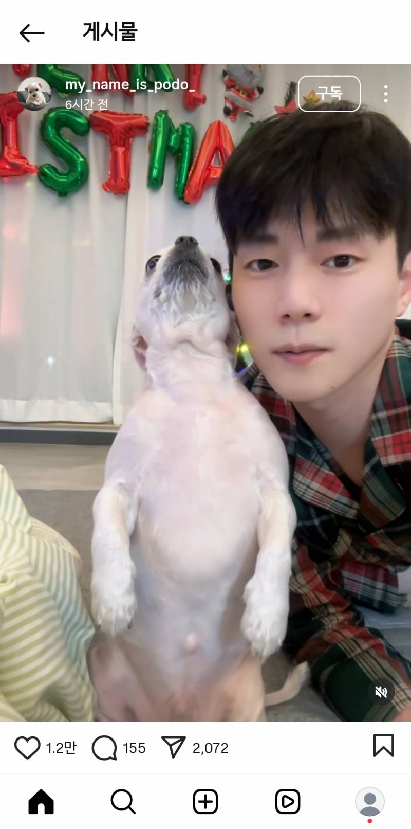 [잡담] 이 강아지는 대체 왜이렇게 스는걸까...?? | 인스티즈