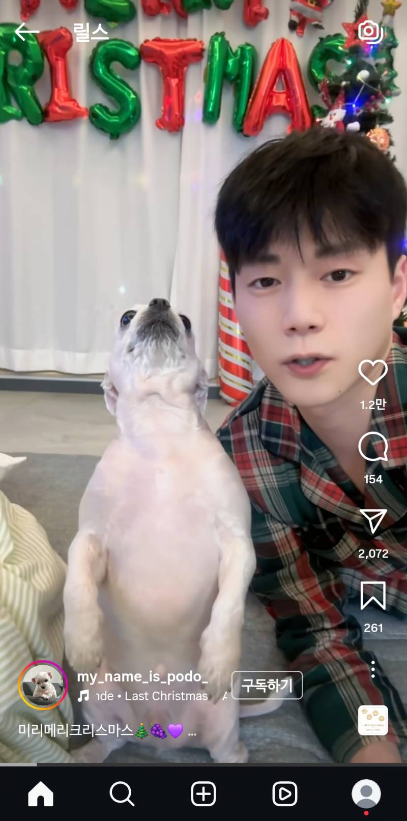 [잡담] 이 강아지는 대체 왜이렇게 스는걸까...?? | 인스티즈