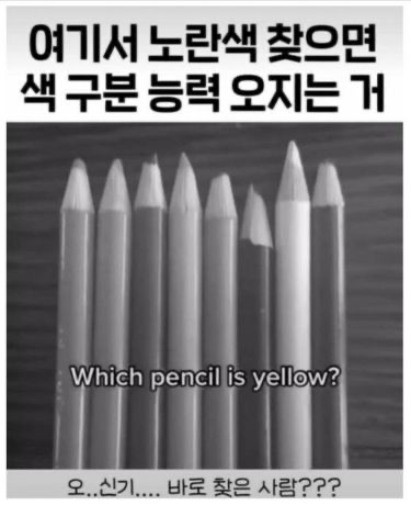 [잡담] 뭐가 노란색인지 맞혀봐 | 인스티즈