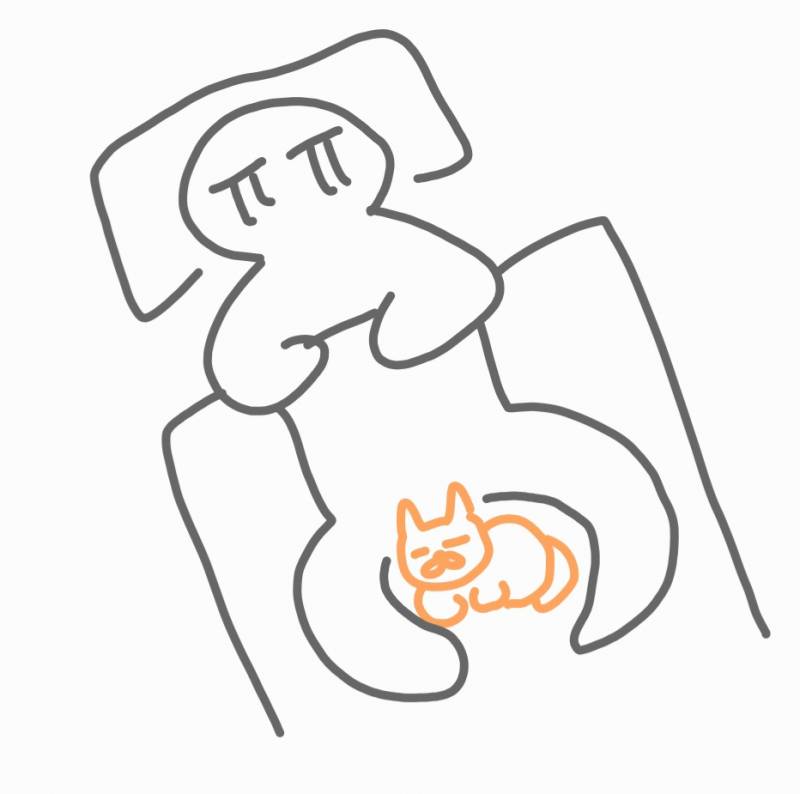 [잡담] 지금 1시간째 이러고 있는데 무릎 나갈것 같다 | 인스티즈