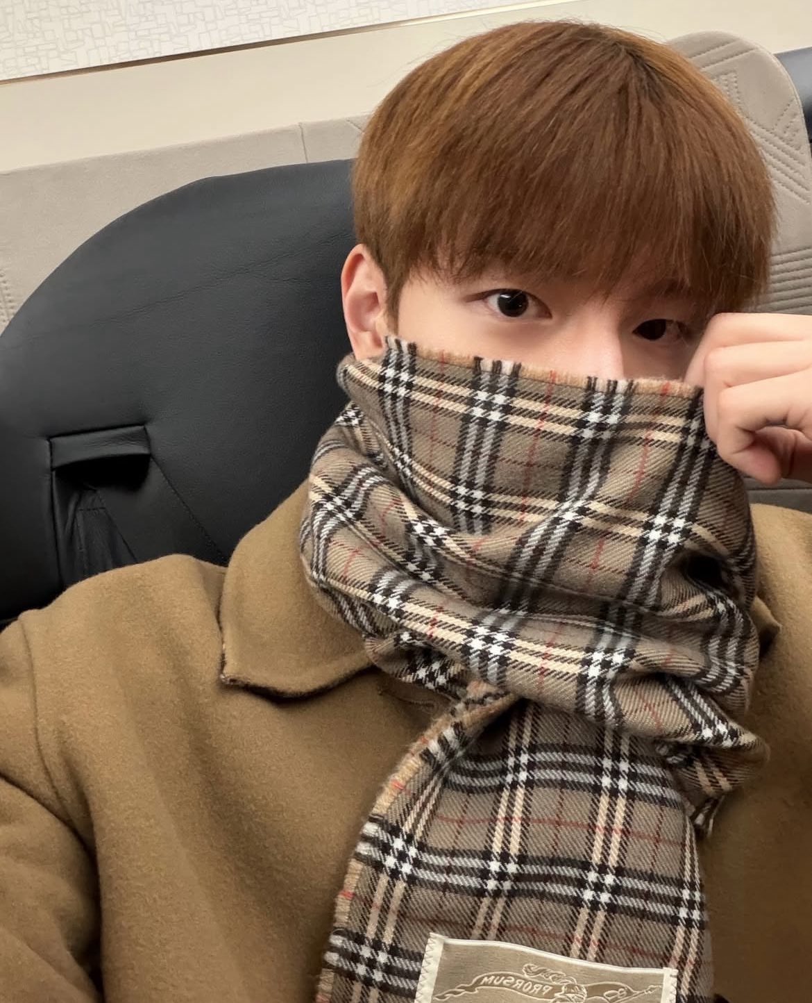 [잡담] 버버리 목도리 뭐가 제일 예뻐? | 인스티즈