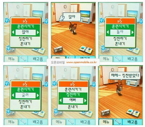[잡담] 마이펫 키우기 잼썼는데 | 인스티즈