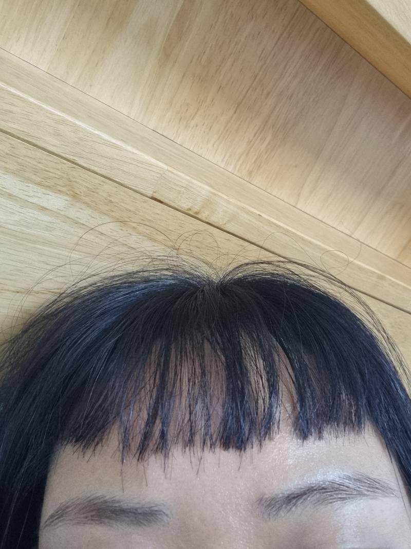 [잡담] 샤갈 앞머리 개짧게자름 | 인스티즈