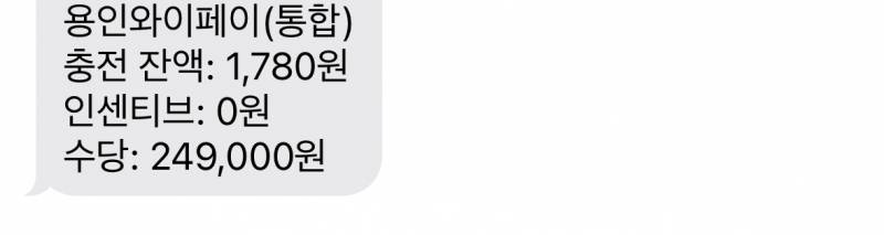 [잡담] 경기지역화폐 '수당' 이면 돈 못써? | 인스티즈