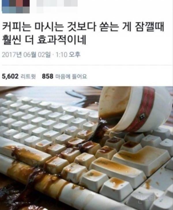 커피를 마셔도 잠이 오는 이유 | 인스티즈